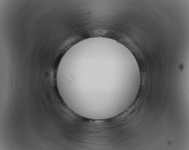 X0000102250378200807250906