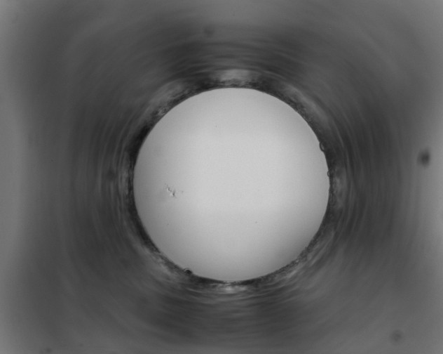X0000102250379200807250906