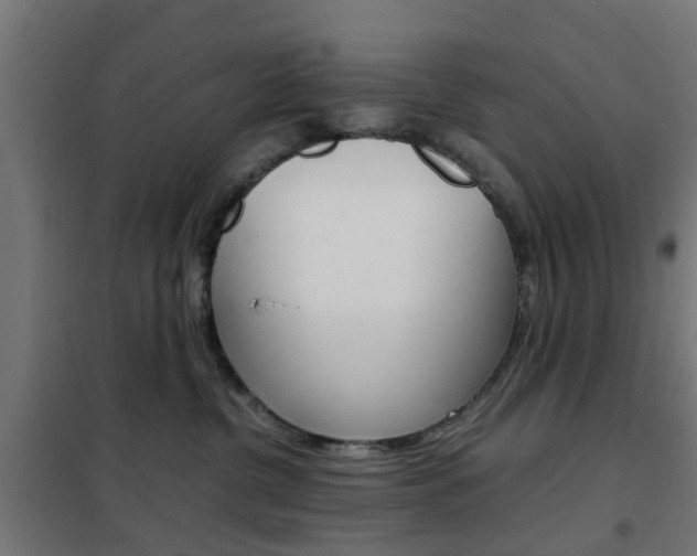 X0000102250380200807250906