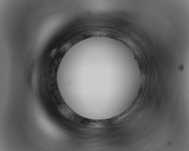 X0000102250381200807250906