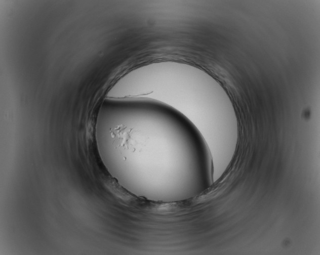 X0000102250382200807250906