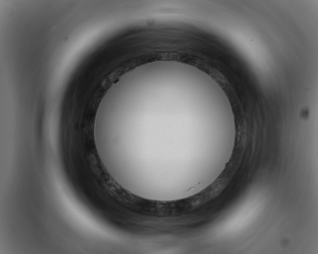 X0000102250383200807250906