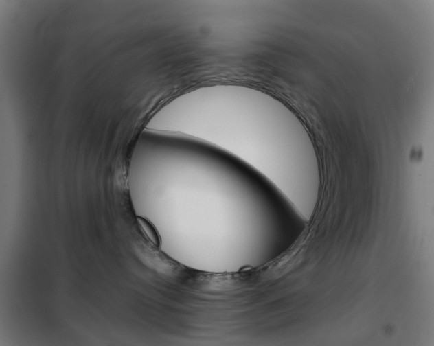 X0000102250384200807250906