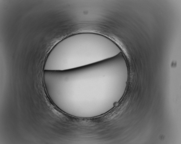 X0000102250385200807250906