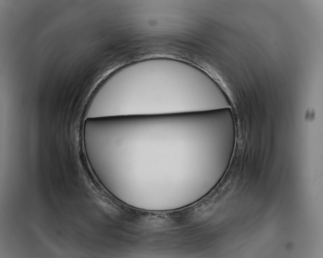 X0000102250386200807250906