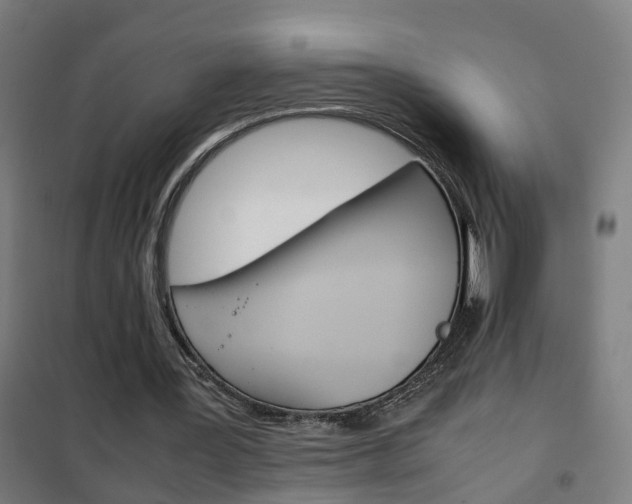 X0000102250387200807250905