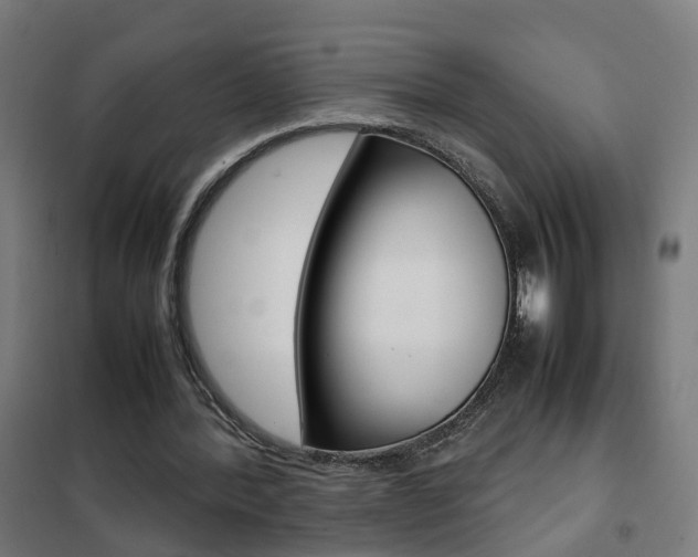 X0000102250388200807250905