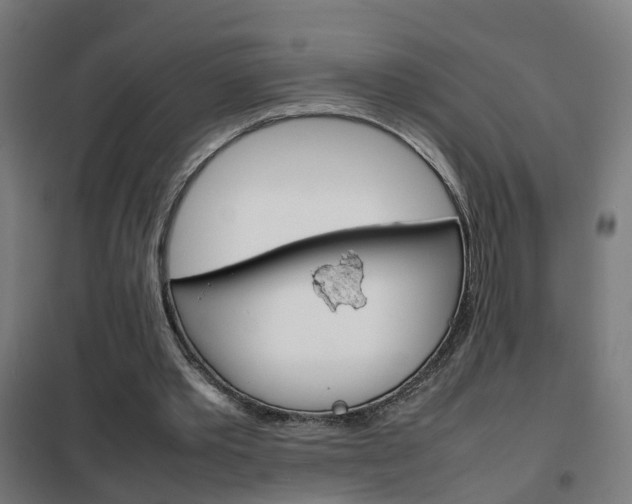 X0000102250389200807250905