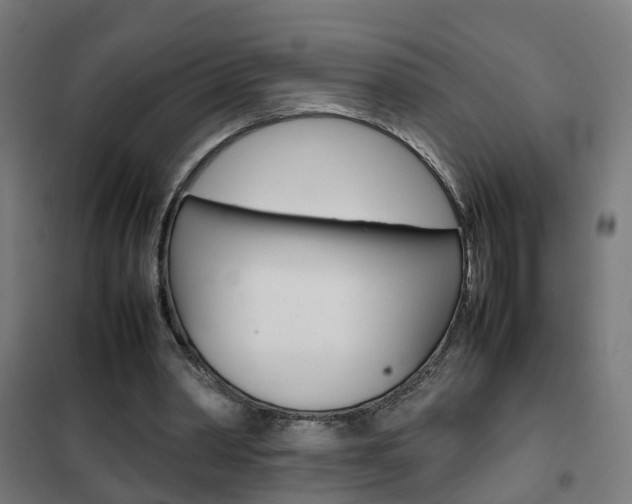 X0000102250390200807250905