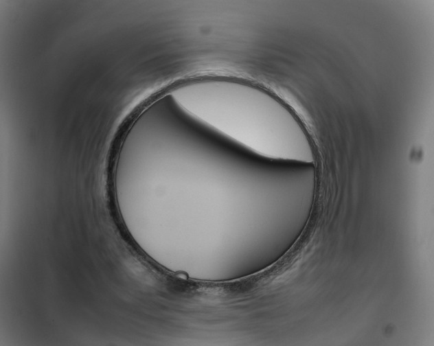 X0000102250391200807250905