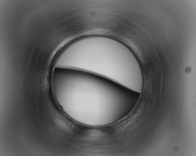 X0000102250392200807250905