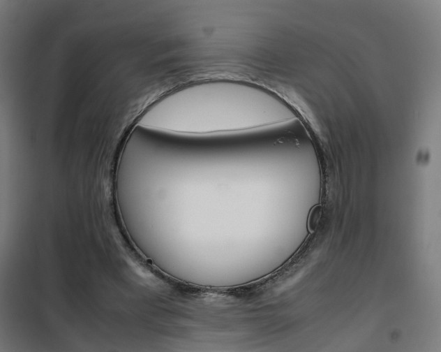 X0000102250393200807250905