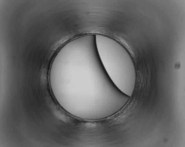 X0000102250394200807250905