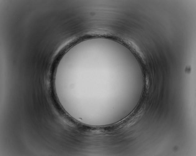 X0000102250396200807250905