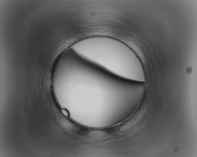 X0000102250397200807250905