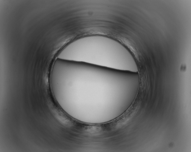 X0000102250398200807250905