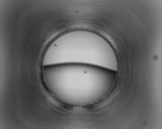 X0000102250399200807250905
