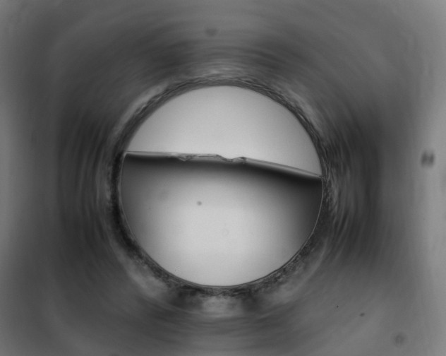 X0000102250400200807250905