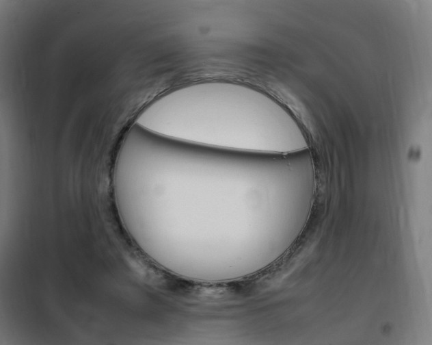 X0000102250401200807250905