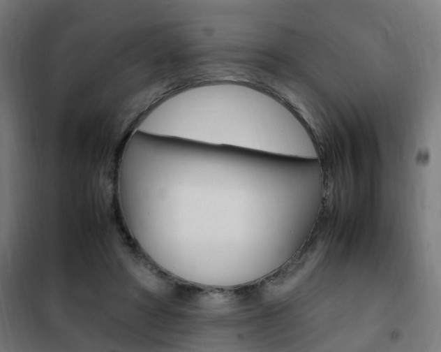 X0000102250402200807250905