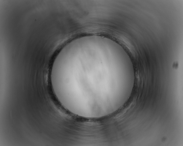X0000102250404200807250905