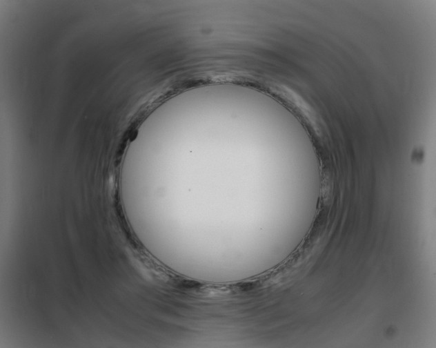 X0000102250405200807250905