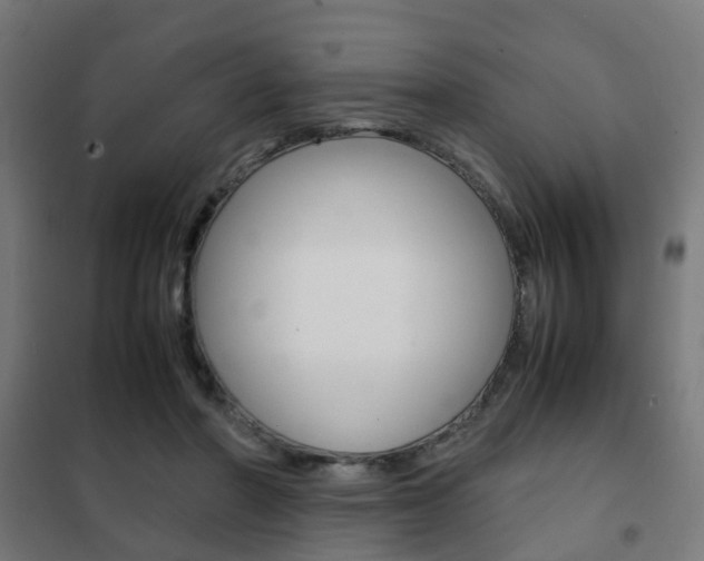 X0000102250406200807250905