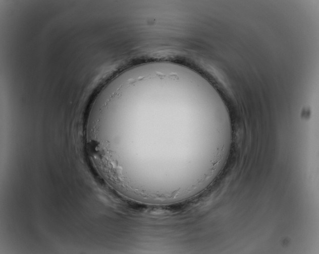 X0000102250407200807250905
