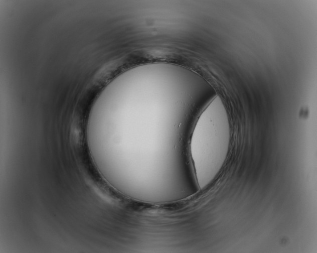 X0000102250408200807250905