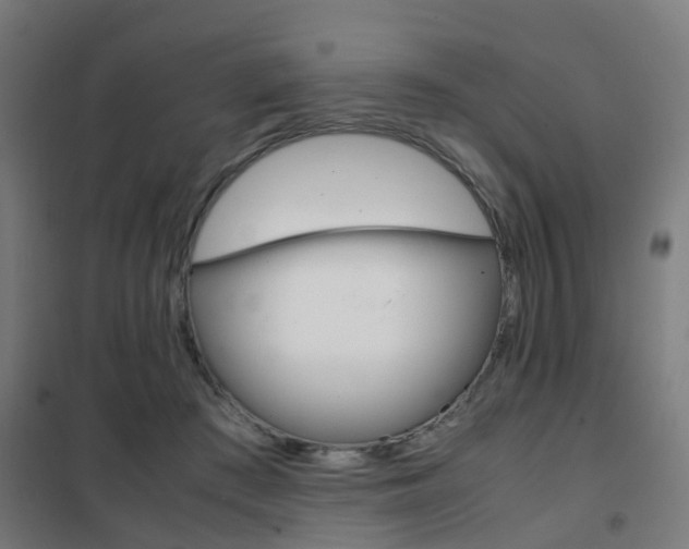 X0000102250409200807250905