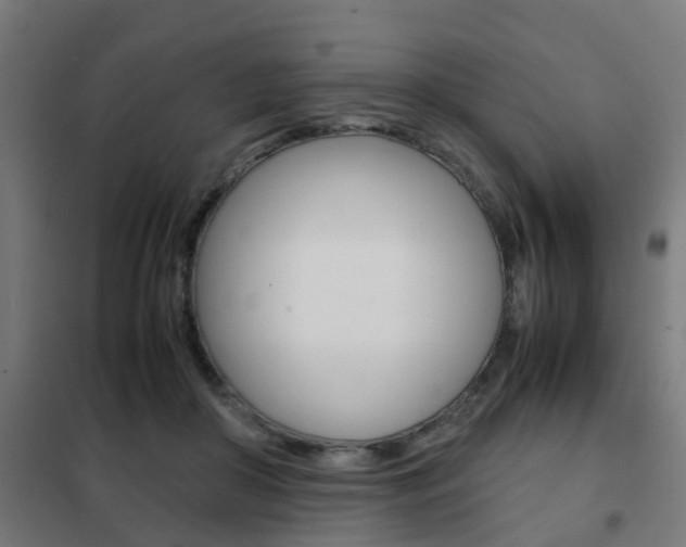X0000102250410200807250905