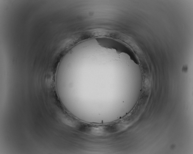 X0000102250411200807250905