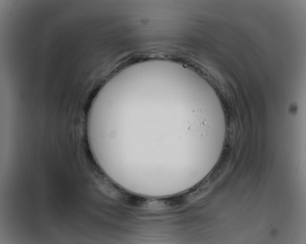 X0000102250413200807250905