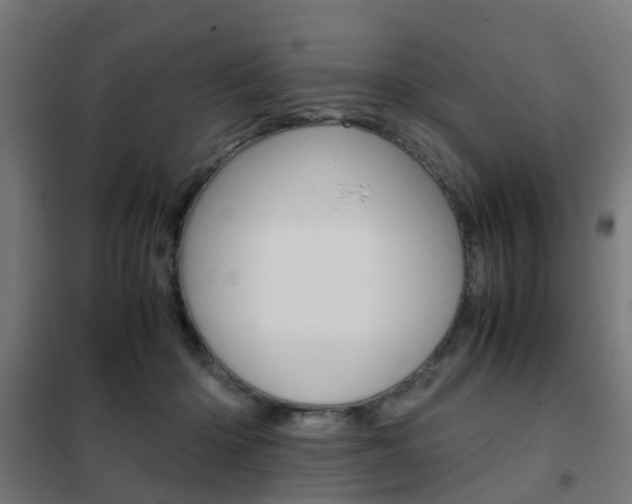 X0000102250414200807250905