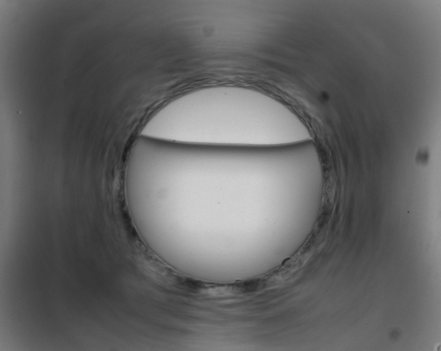 X0000102250417200807250905