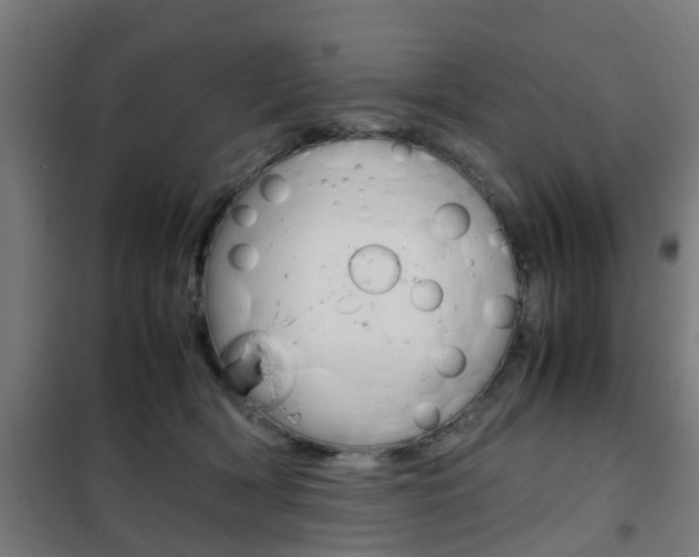 X0000102250418200807250905