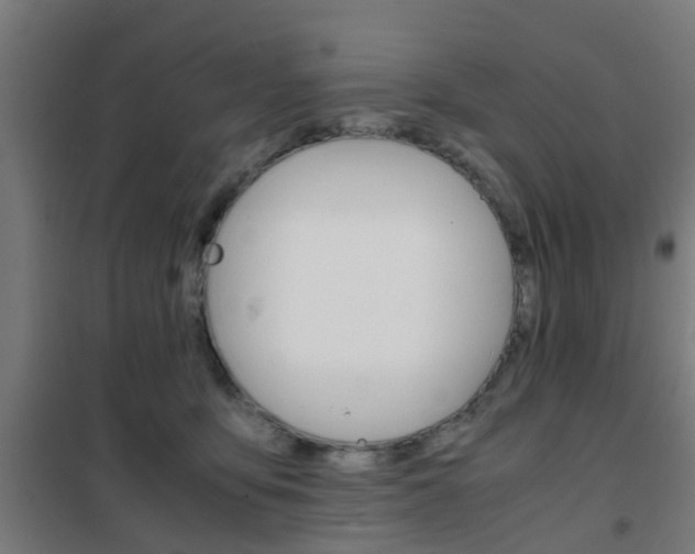 X0000102250419200807250905