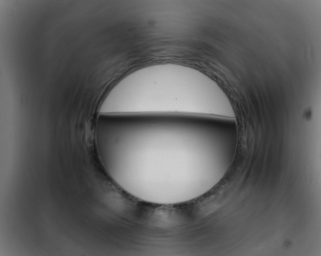 X0000102250420200807250905