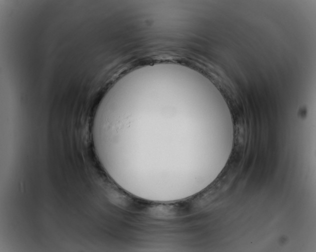 X0000102250422200807250905