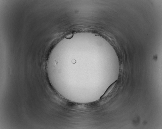 X0000102250423200807250905