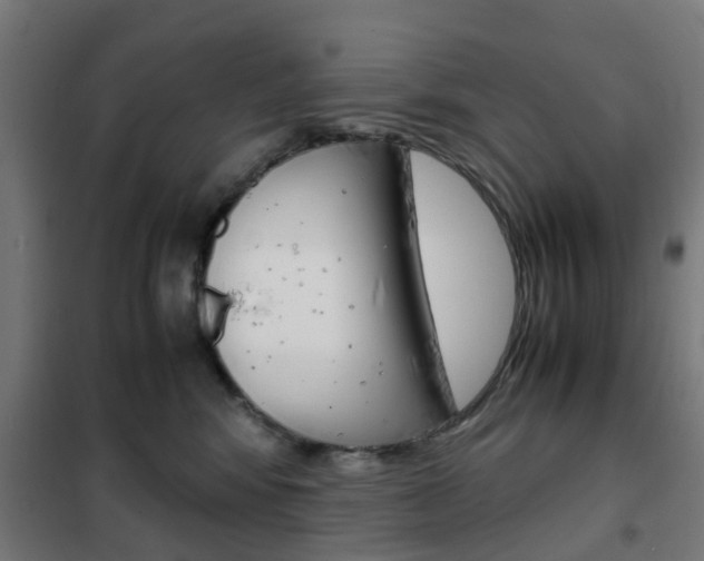 X0000102250424200807250905