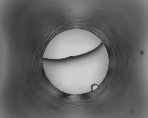 X0000102250425200807250905