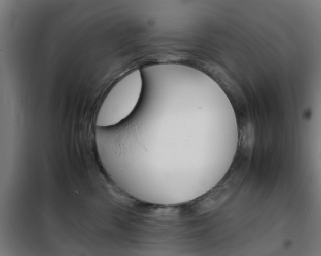 X0000102250426200807250905
