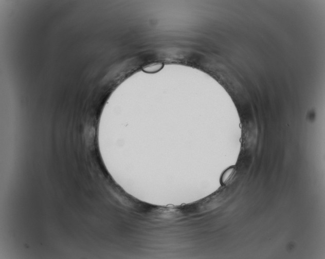 X0000102250427200807250905