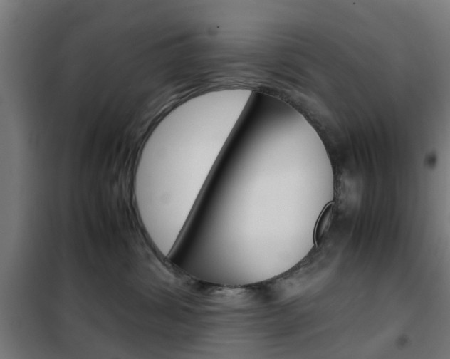 X0000102250428200807250905