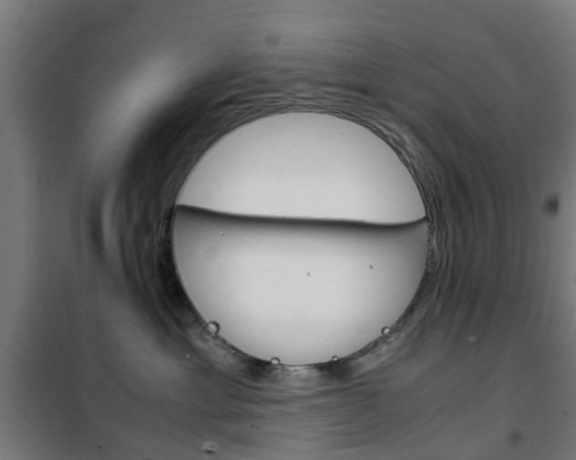 X0000102250429200807250905