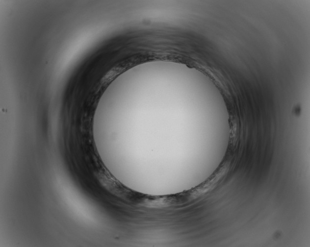 X0000102250430200807250905