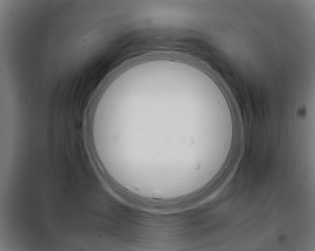 X0000102250431200807250905