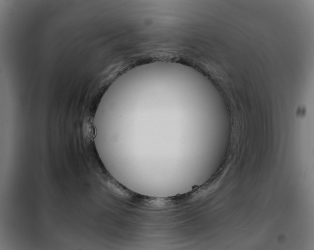 X0000102250432200807250905