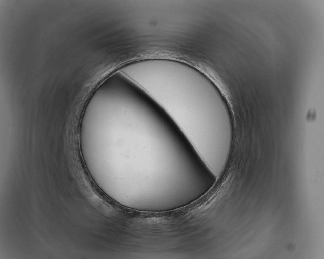 X0000102250433200807250904
